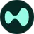 ic-asset